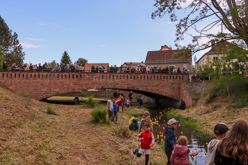 1748015644.jpg